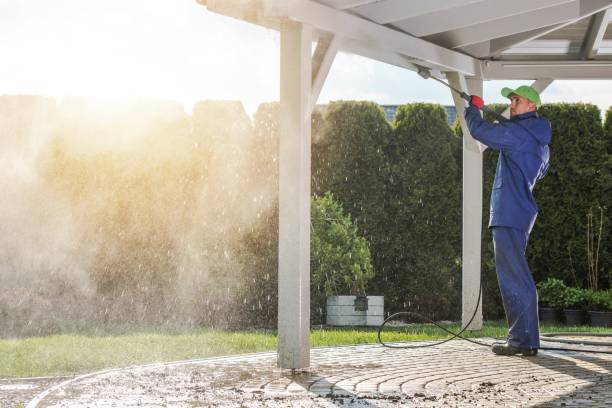 Best Pre-Holiday Cleaning  in Fairview, NC