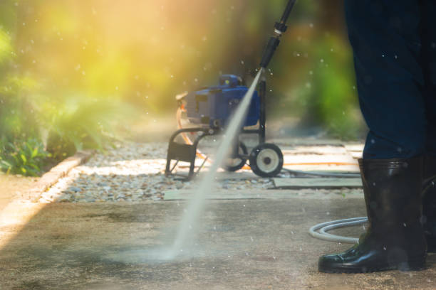 Animal Enclosure Cleaning in Fairview, NC